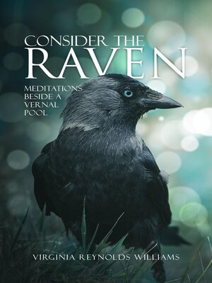 cover image of Consider the Raven